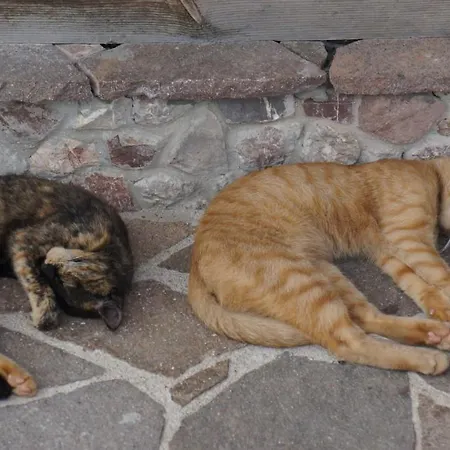 Urlaub Am Bauernhof Hoebarten *