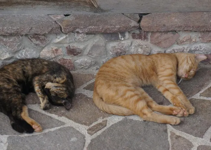 Urlaub Am Bauernhof Höbarten *